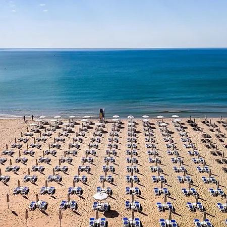Sentido Bellevue 써니비치